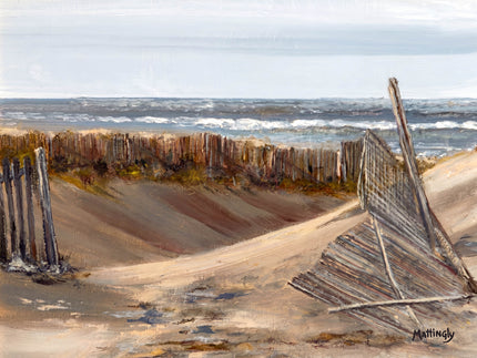 Race Point