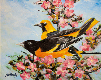 Two Orioles
